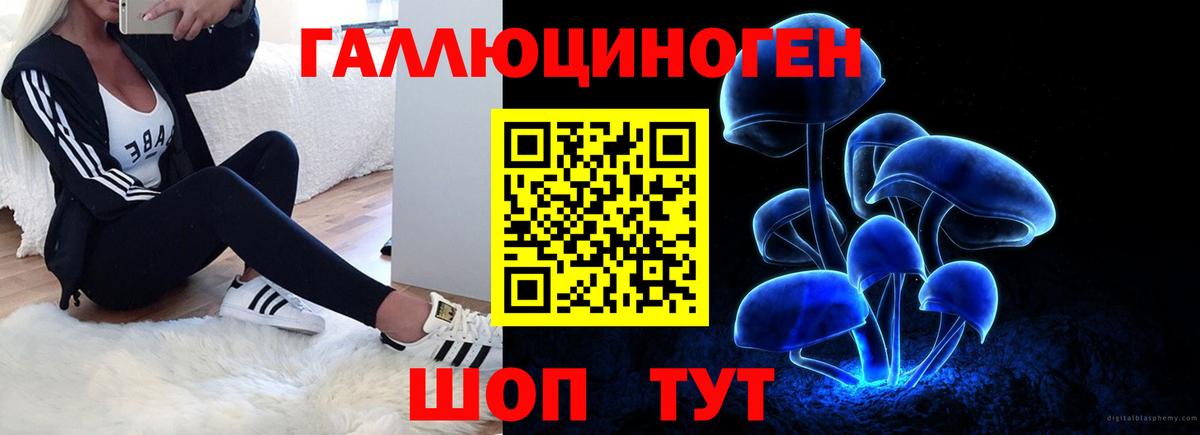 Псилоцибиновые грибы Psilocybine cubensis  закладки  Лесной  Вход с VPN  Галлюциногенные грибы мухоморы 